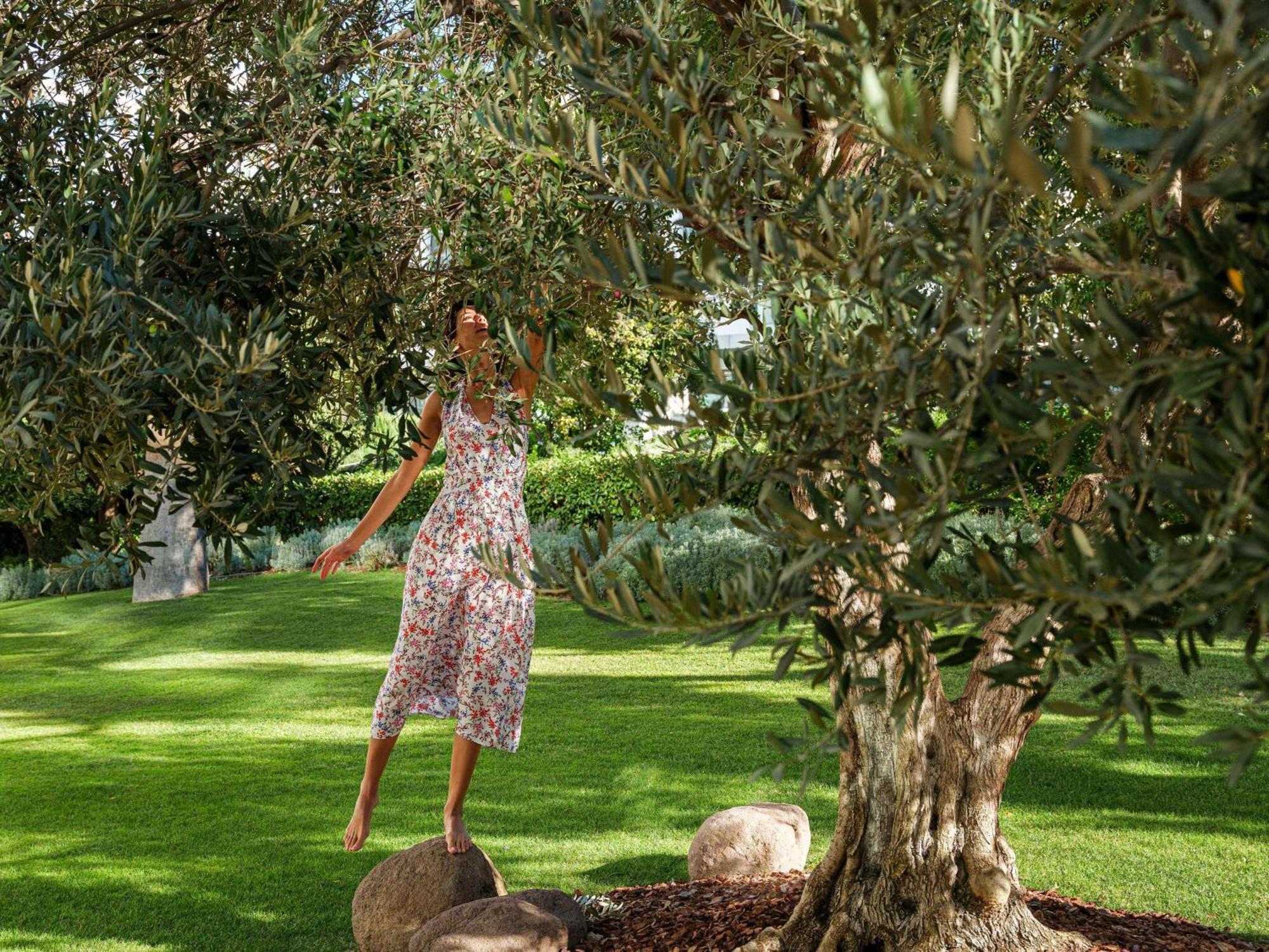 Swissôtel Grand Efes Izmir Esmirna Exterior foto Olive trees in the garden